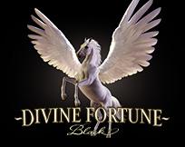 Divine Fortune Black